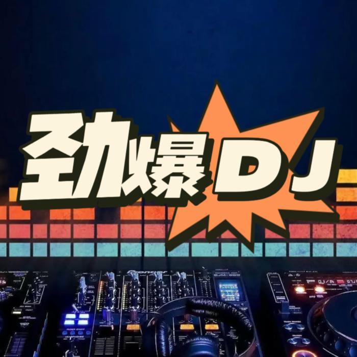 别错过dj版安卓版音乐mp4下载免费版-第2张图片-太平洋在线下载