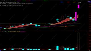 主力雷达安卓版通达信主力雷达指标
